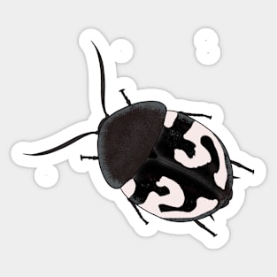 therea olegrandjeani question mark roach Sticker